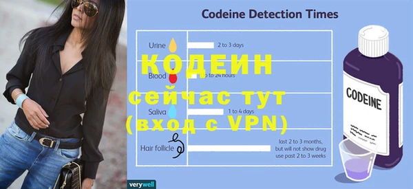 молекула духа Богородицк