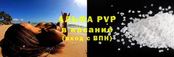 прущие крисы Белокуриха