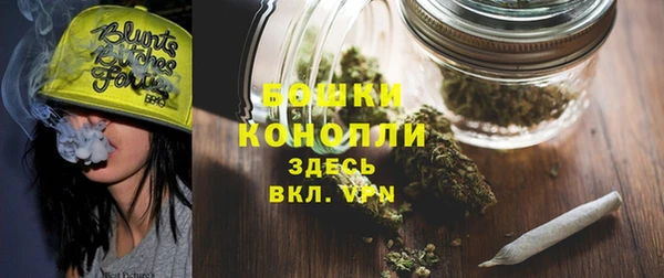 прущие крисы Белокуриха