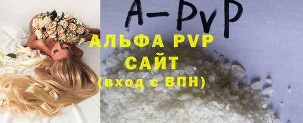 spice Инта