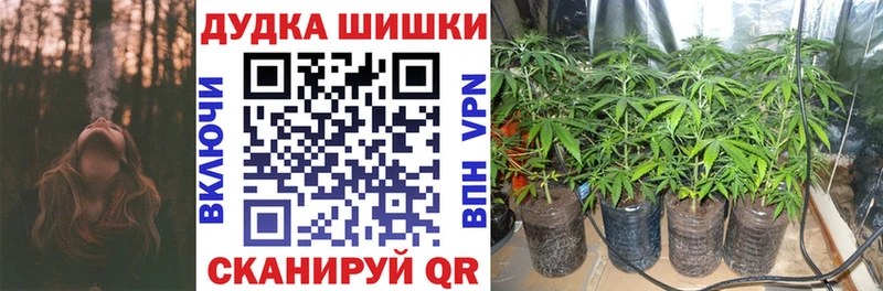 МАРИХУАНА SATIVA & INDICA Северск